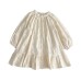 Girls' Dress Spring Autumn New Solid Color Long Sleeve Embroidered Dress Children's Princess Dress Kids Clothing