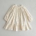 Girls' Dress Spring Autumn New Solid Color Long Sleeve Embroidered Dress Children's Princess Dress Kids Clothing