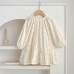 Girls' Dress Spring Autumn New Solid Color Long Sleeve Embroidered Dress Children's Princess Dress Kids Clothing