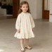 Girls' Dress Spring Autumn New Solid Color Long Sleeve Embroidered Dress Children's Princess Dress Kids Clothing