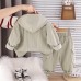 Casual hooded long sleeved three piece set for baby boys Casual hooded long sleeved three piece set for baby boys