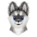 Original New Fursuit Samoyed Canine Head Single-Head Finished Product for Comic Convention Cosplay Original New Fursuit Samoyed Canine Head Single-Head Finished Product for Comic Convention Cosplay