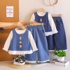 Embroidered denim long sleeved three piece set for babies