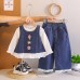 Embroidered denim long sleeved three piece set for babies