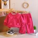 Long sleeved spring and autumn casual hoodie two-piece set