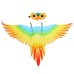 Halloween Kids Parrot Wings Cape Bird Headpiece Performance Prop Cosplay