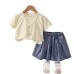 Girl baby clothes casual thin children's summer clothes