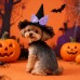 Pet Halloween Hat Creative Pumpkin Devil Spider New Stock  Rabbit Pet Dog