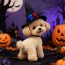 Pet Halloween Hat Creative Pumpkin Devil Spider New Stock  Rabbit Pet Dog