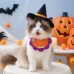 Pet Hair Yarn Gold Label Bandana for Cats and Dogs, Halloween Decorative Neckwear