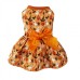 Halloween Pet Costume Pumpkin Bat Design Dog Clothing