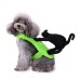 Halloween Pet Costume Quirky Bat Style Funny Outfit for Dogs & Cats