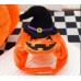 Funny Halloween Christmas Cat Pet Costume for Dogs, Two-Legged Style Poodle Disguise Outfit