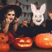 Evil Bloody Rabbit Mask Bloody Plush Bear Mask Halloween Horror Masks Masquerade Party Cosplay Masque Easter Props Tricky Mask
