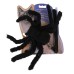 Cat Halloween Spider Harness Leash